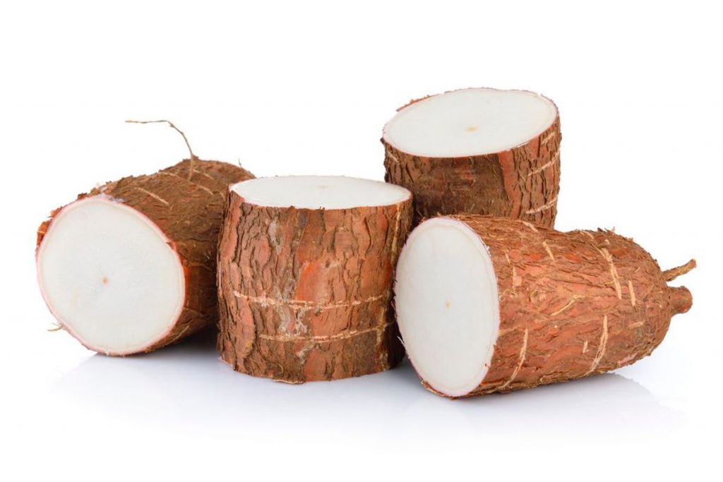 Four pieces of yucca roots on a white background.