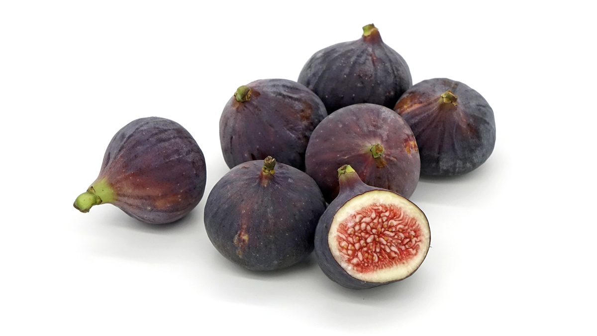 figs-web