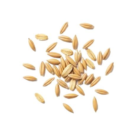 raw-oats